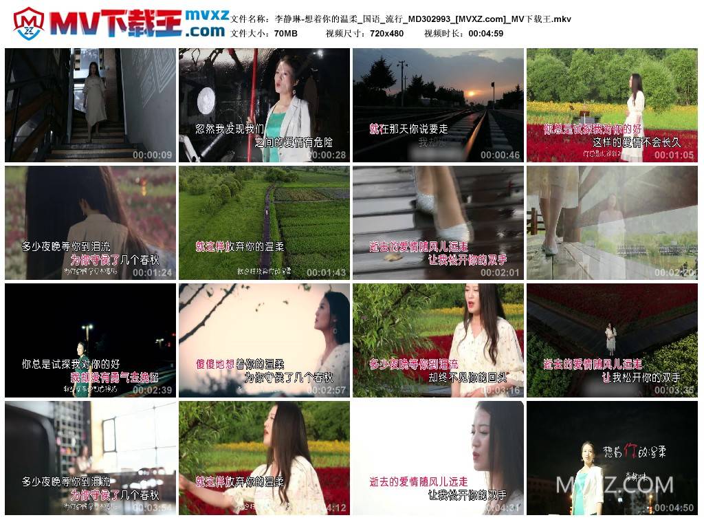 李静琳-想着你的温柔_国语_流行_MD302993